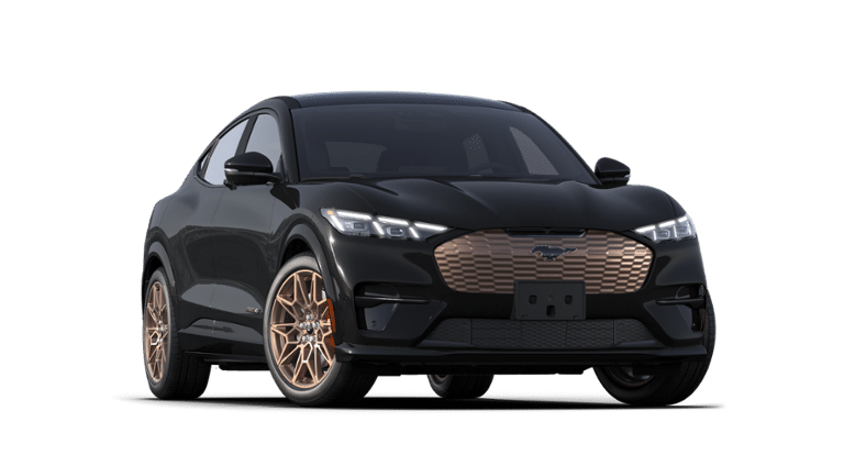 Mustang Mach-E® vehicle